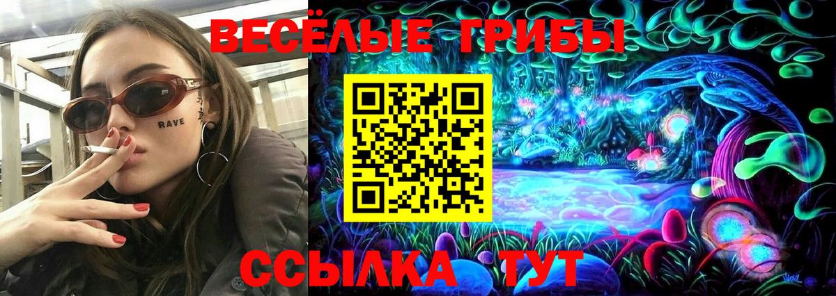 Галлюциногенные грибы GOLDEN TEACHER  Псилоцибиновые грибы MAGIC MUSHROOMS  Коломна  Вход с VPN 